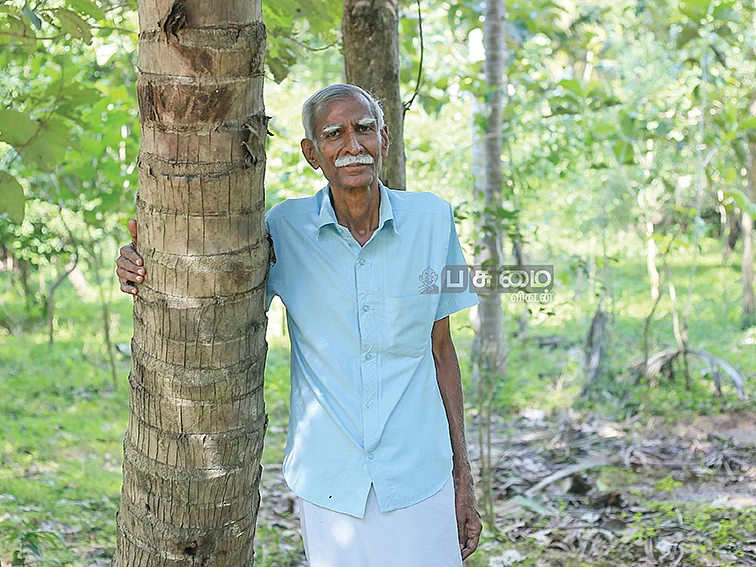 செலவில்லா சாகுபடி…
உழவில்லா வேளாண்மை...
நம்மாழ்வார் தொழில்நுட்பம்...
நல்ல லாபம் கொடுக்கும் பண்ணை!