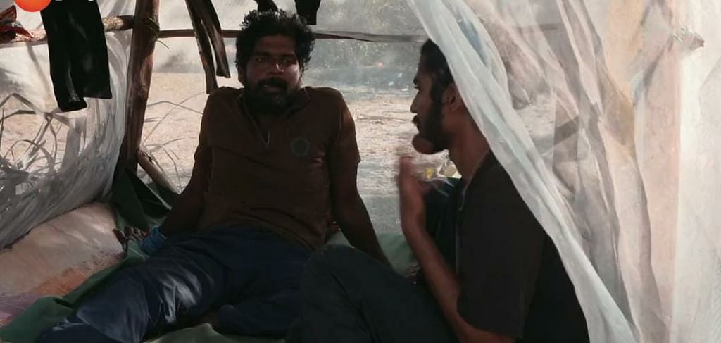 சர்வைவர் 80: