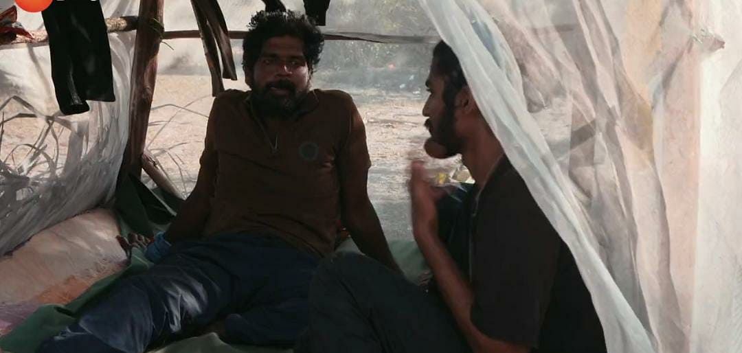 சர்வைவர் 80: