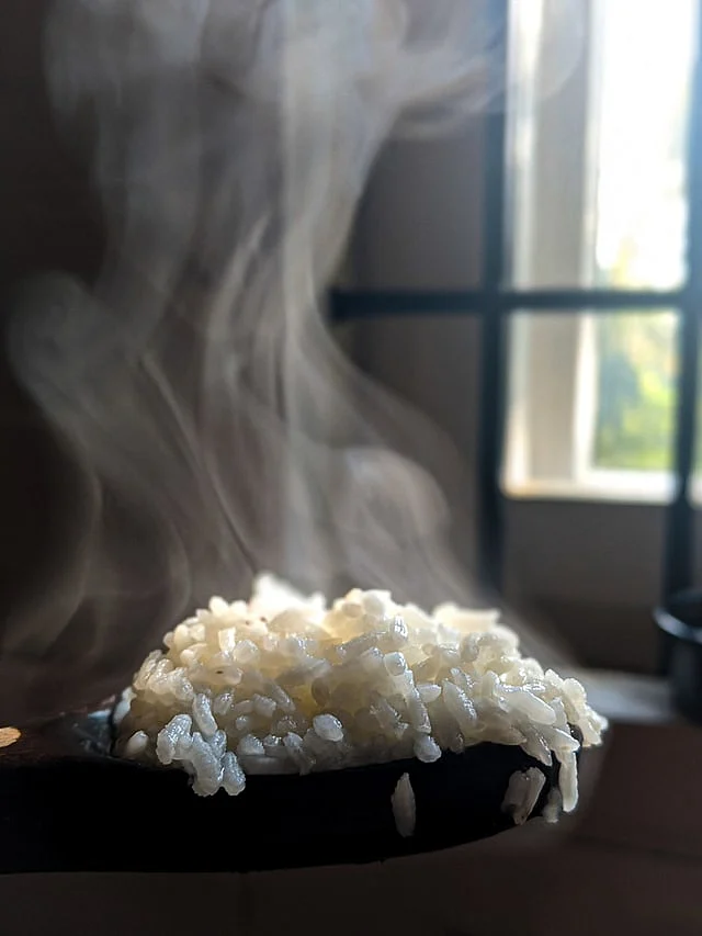 Rice