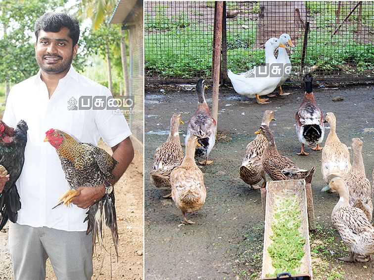 தென்னை, ஆடு, வாத்து, கோழி!மாதம் 71,000 ரூபாய் லாபம்!