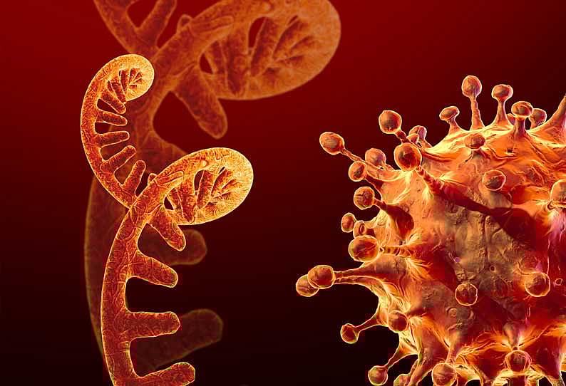 மகாராஷ்டிராவில் குழந்தை உட்பட 7 பேர்; முதன்முறையாக புதிய வகை ஒமிக்ரான் துணை திரிபு தொற்று உறுதி! 