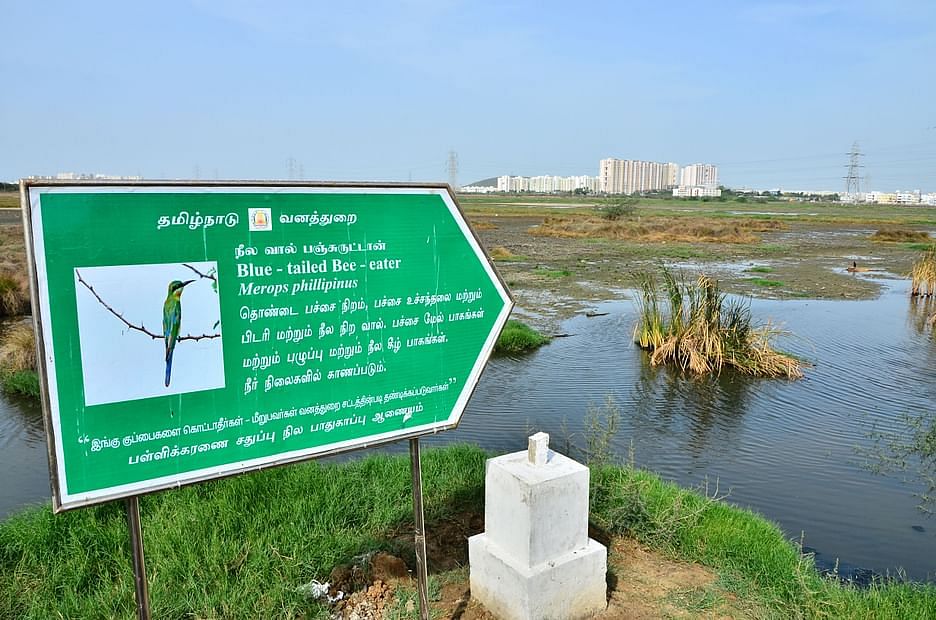 நீர்நிலை ஆக்கிரமிப்பு: ``சும்மா உட்காரவா ஊதியம்?" - அதிகாரிகளை வெளுத்து  வாங்கிய நீதிமன்றம் | madras high court raps govt officials in tn water body  encroachment issue - Vikatan