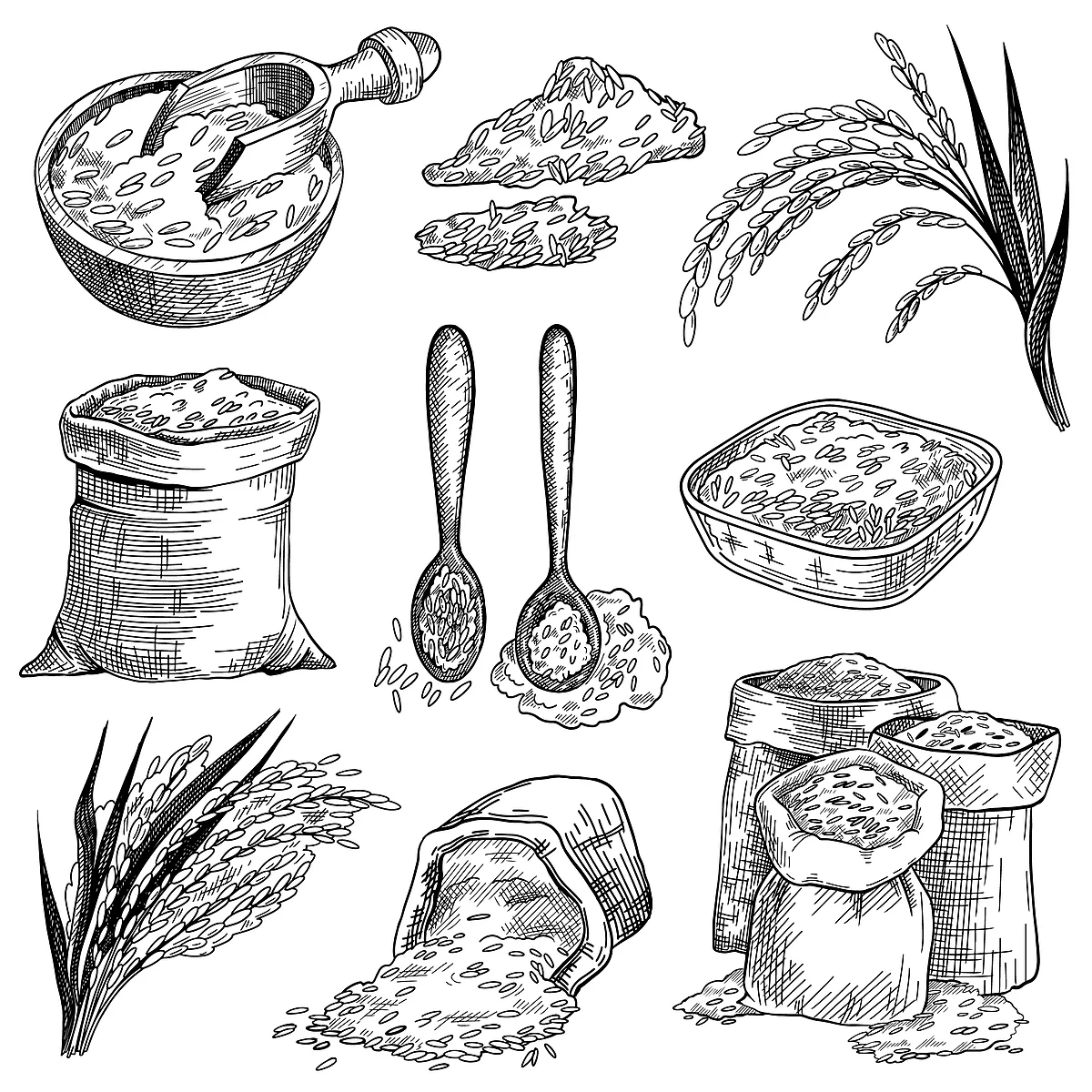Rice