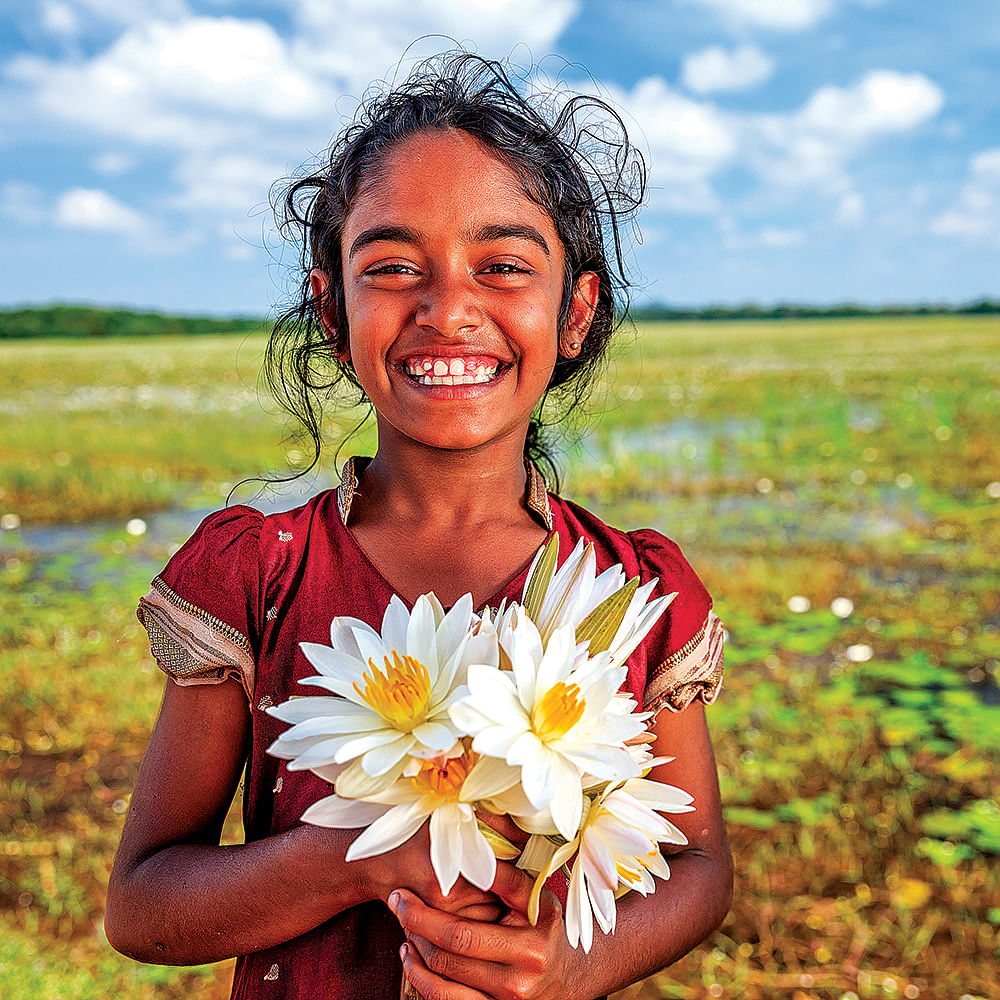 கவிதைகள்