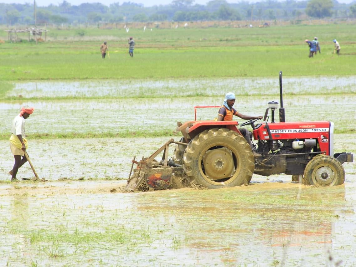 சம்பா பயிர்க்கடன் வழங்குவதில் தாமதம்; தமிழக அரசு நடவடிக்கை எடுக்க வேண்டும்!