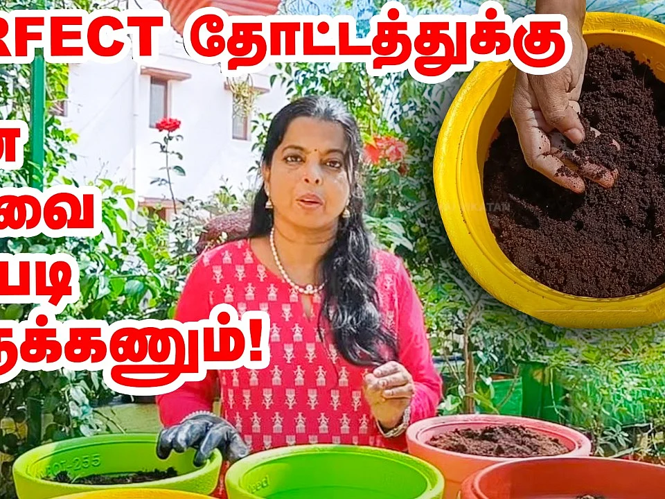 மாடித்தோட்டத்துக்கு மண் கலவை எப்படி இருக்கணும்? | How to prepare best soil mix for plants?