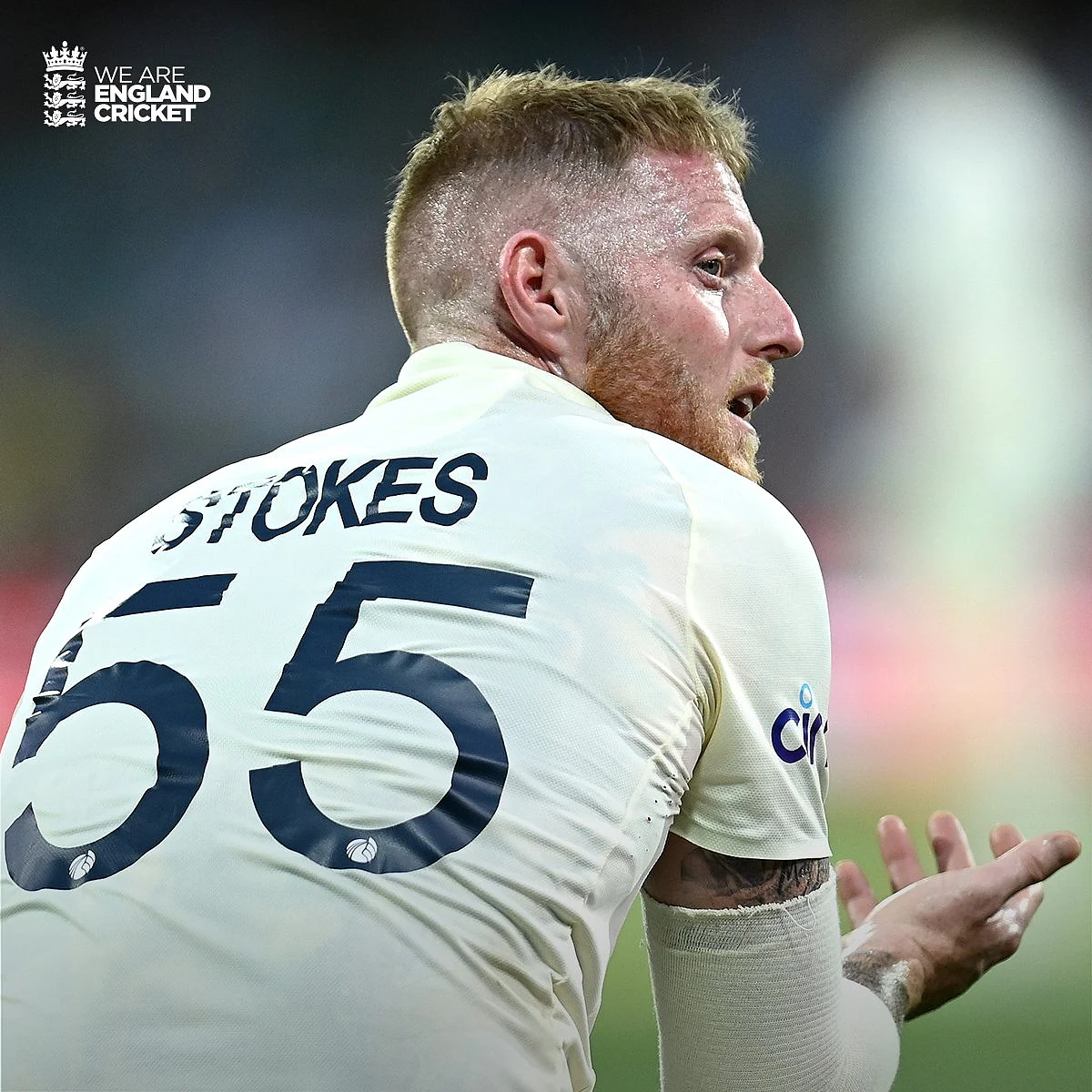 Stokes