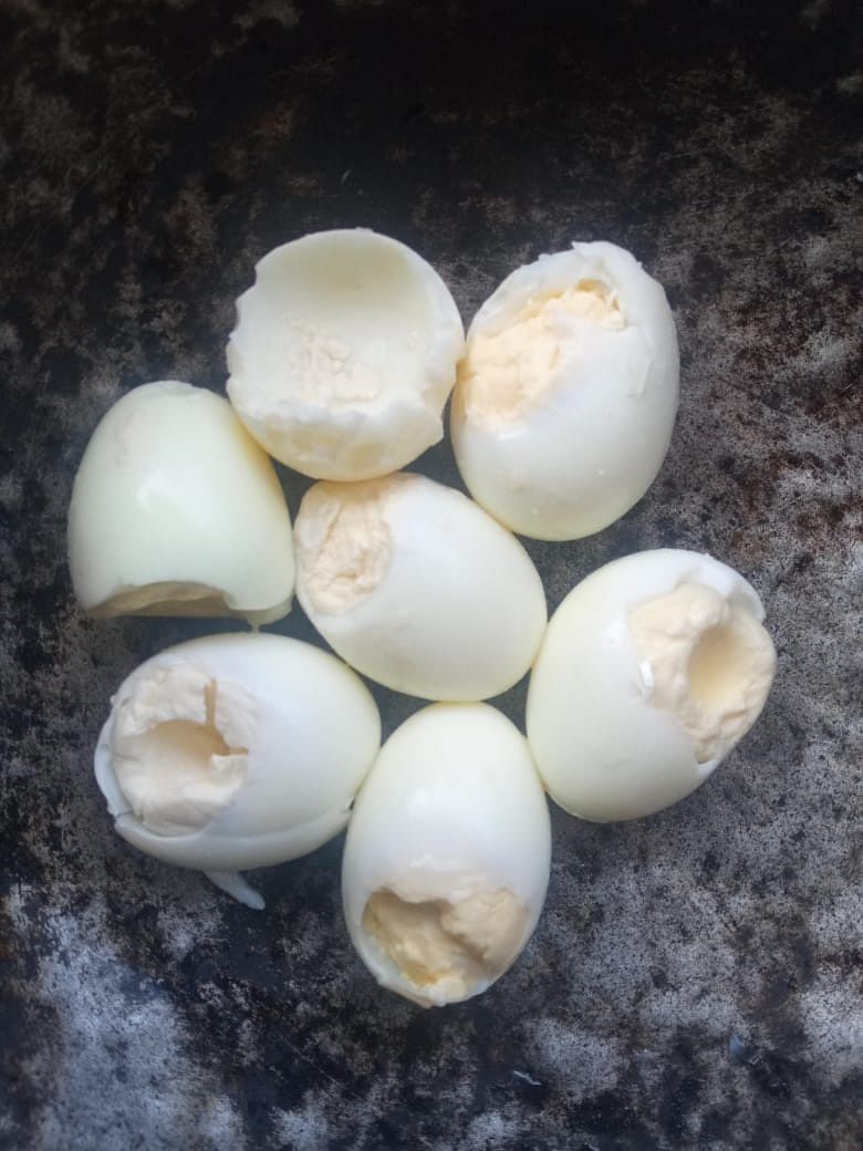 அழுகிய முட்டை