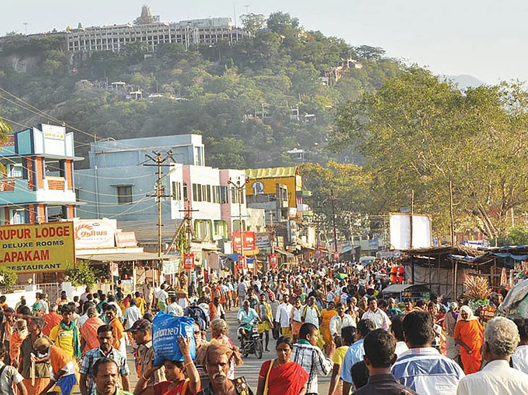 பல கோடி வருமானம் தரும் பழனி பஞ்சாமிர்தம்!