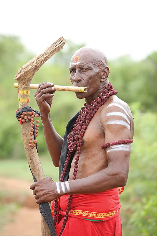 தென்னிந்தியாவுக்கு வீட்டை ஷிப்ட் பண்ணப்போறேன்!