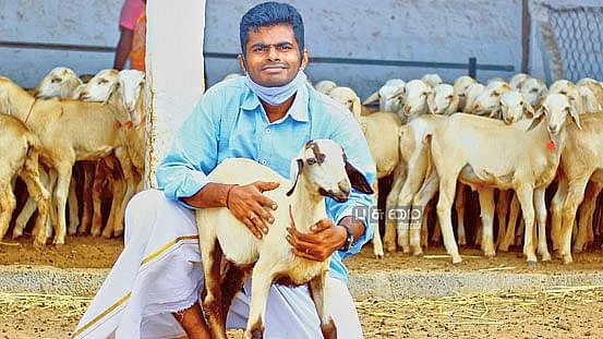 அண்ணாமலை