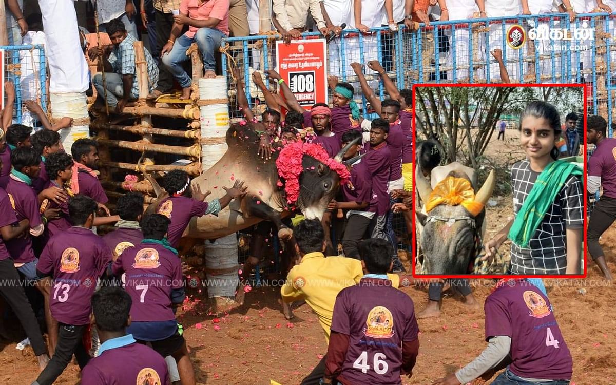 சபதமேற்று ஜல்லிக்கட்டில் காளைகளைக் கட்டவிழ்த்து வெற்றிகண்ட 16 வயது சிறுமி  யோகதர்ஷினி!