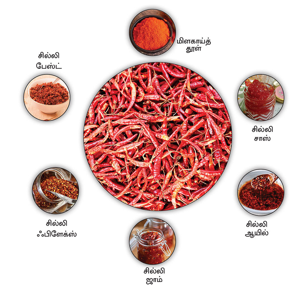 கனவு - 2 - ராமநாதபுரம் - வளமும் வாய்ப்பும்