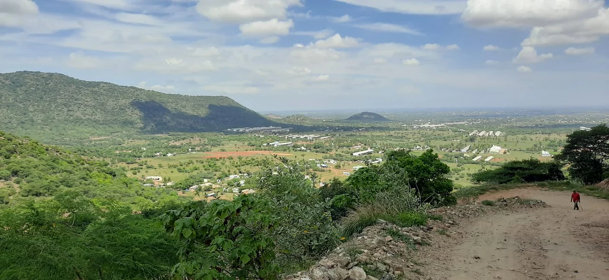 மரக்கன்றுகள் நடப்பட்ட நீர்நிலை
