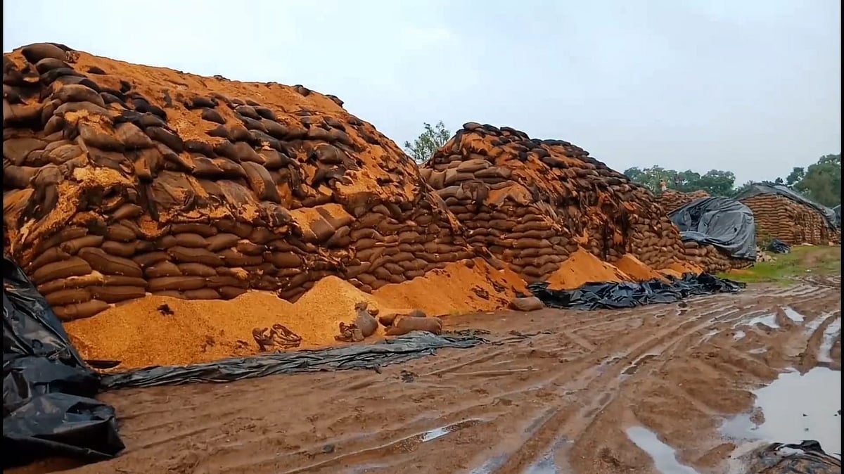 மழையால் வீணாகும் நெல் மூட்டைகள் ...