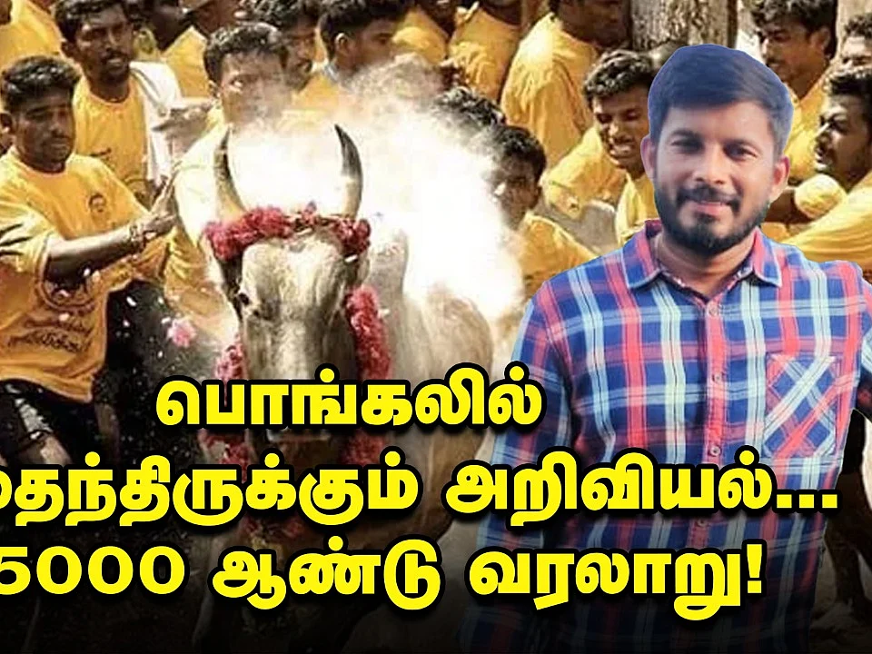 தமிழர் பொங்கல் பண்பாட்டில் அப்படி என்னதாங்க இருக்கு? | Elangovan Explains