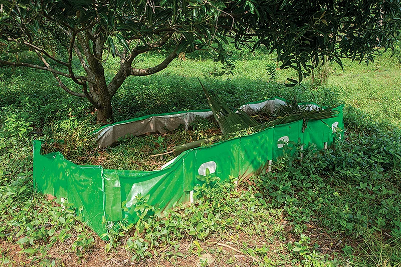 மண்புழு உரம்