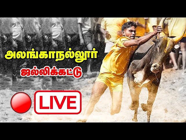 Alanganallur Jallikattu 2022 Live: தொடங்கியது உலகப் புகழ்பெற்ற அலங்காநல்லூர் ஜல்லிக்கட்டு நேரலை 🔴🔴