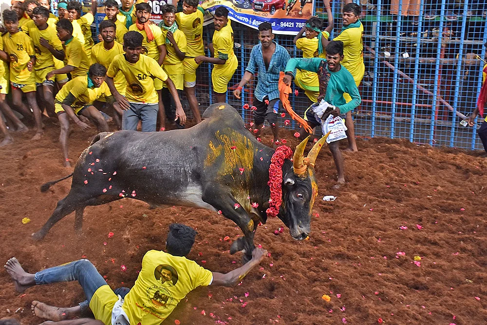 “ஜெயிச்சுட்டு பரிசு வாங்குவேன்!”