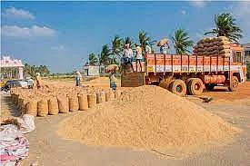 நெல் மூட்டைகள்