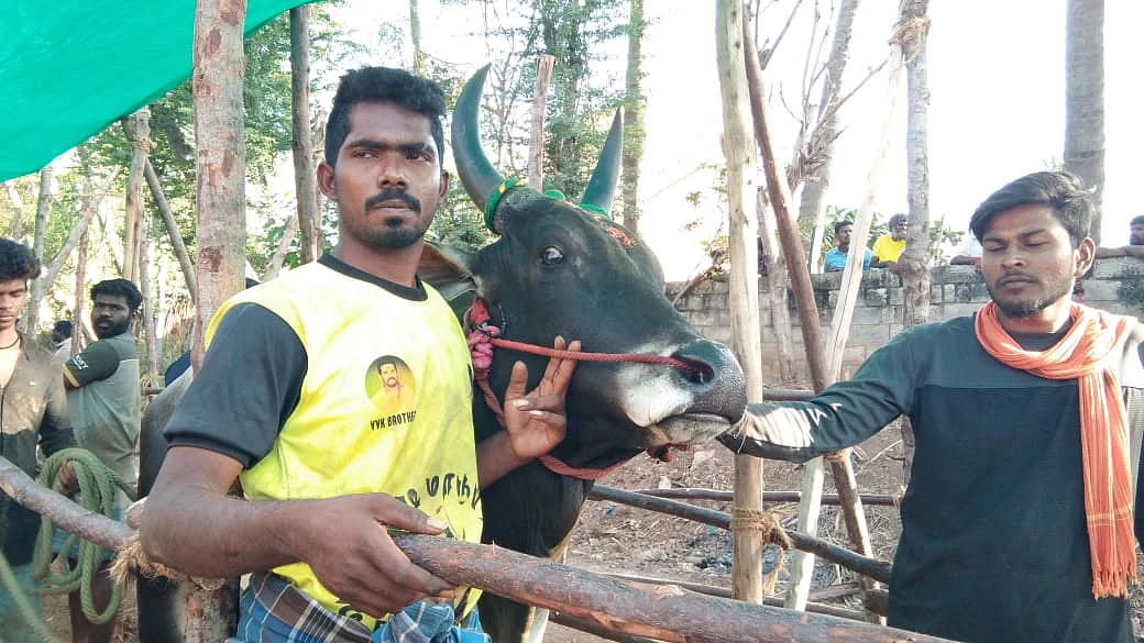 ஜல்லிக்கட்டு: `பாப்பா என்ன பண்ணீட்டு இருக்க?’ -அவனியாபுரம் டு அலங்காநல்லூர் கள அனுபவம் பகிரும் மாணவி