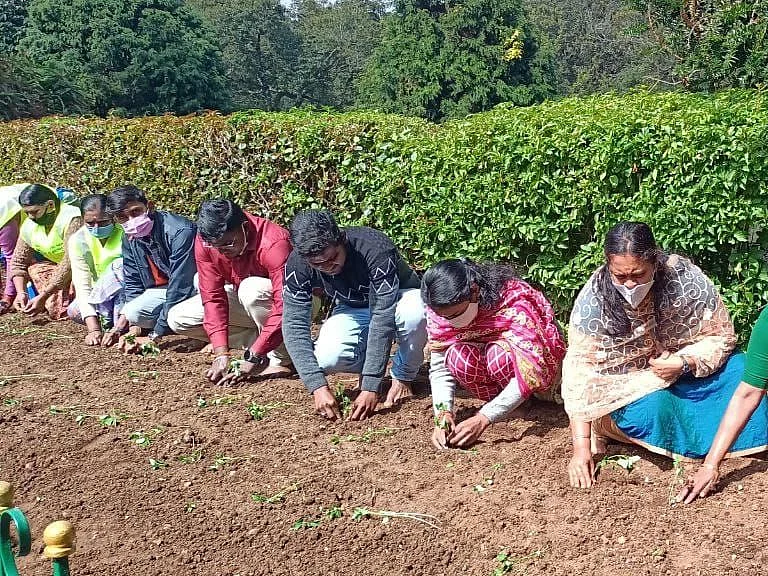 120 ரகங்களில் 3 லட்சம் மலர் நாற்றுகள்; பிரமாண்டமாகக் கண்காட்சிக்குத் தயாராகும் நீலகிரி!