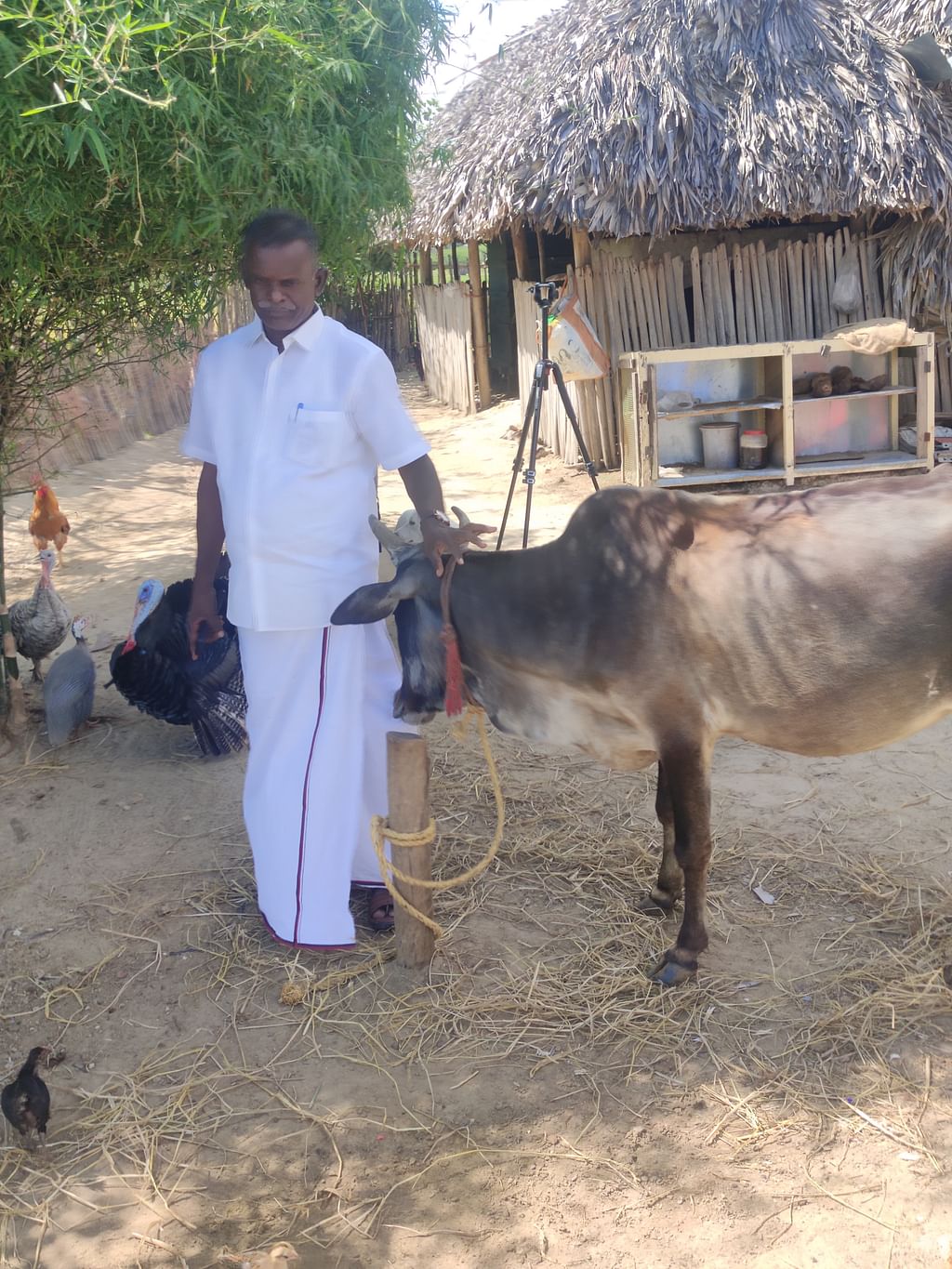 ஜானகிராமன்