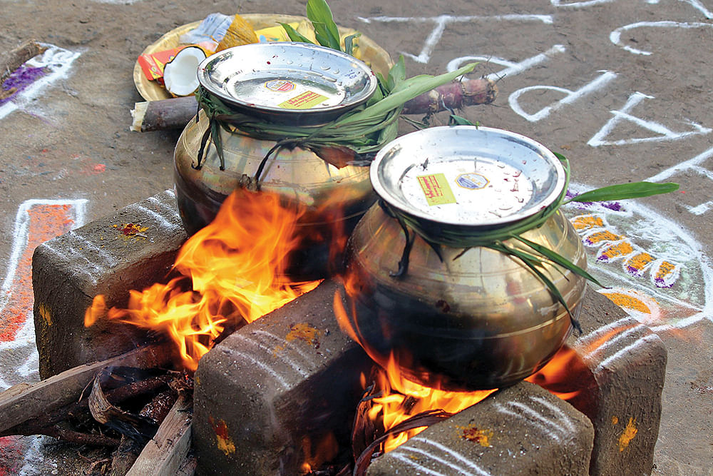 பொங்கல்