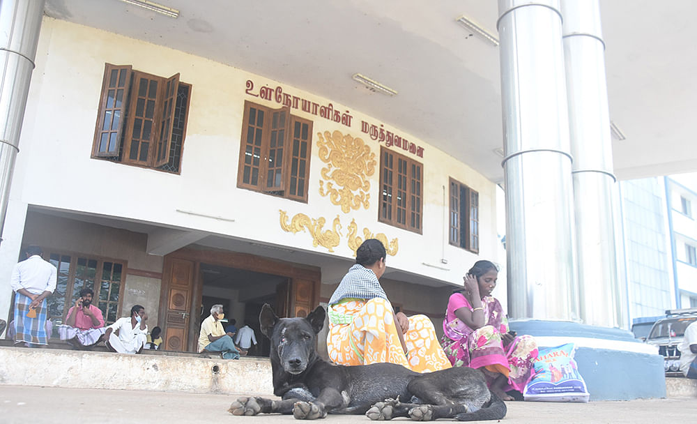 ஸ்கேன் ரிப்போர்ட் - குடலைப் புரட்டும் துர்நாற்றம்... நாய்கள் தொல்லை...