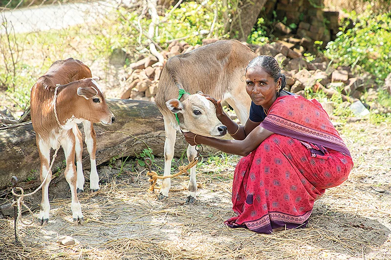 இந்திரா