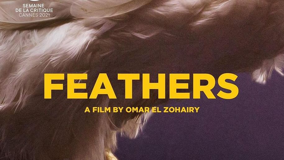Feathers
