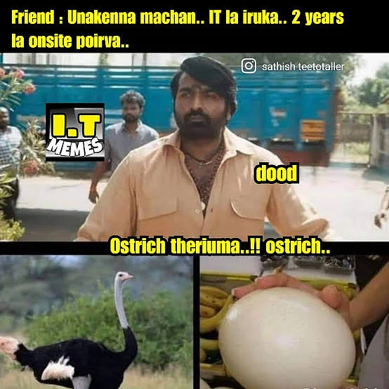 2021 மீம்ஸ்