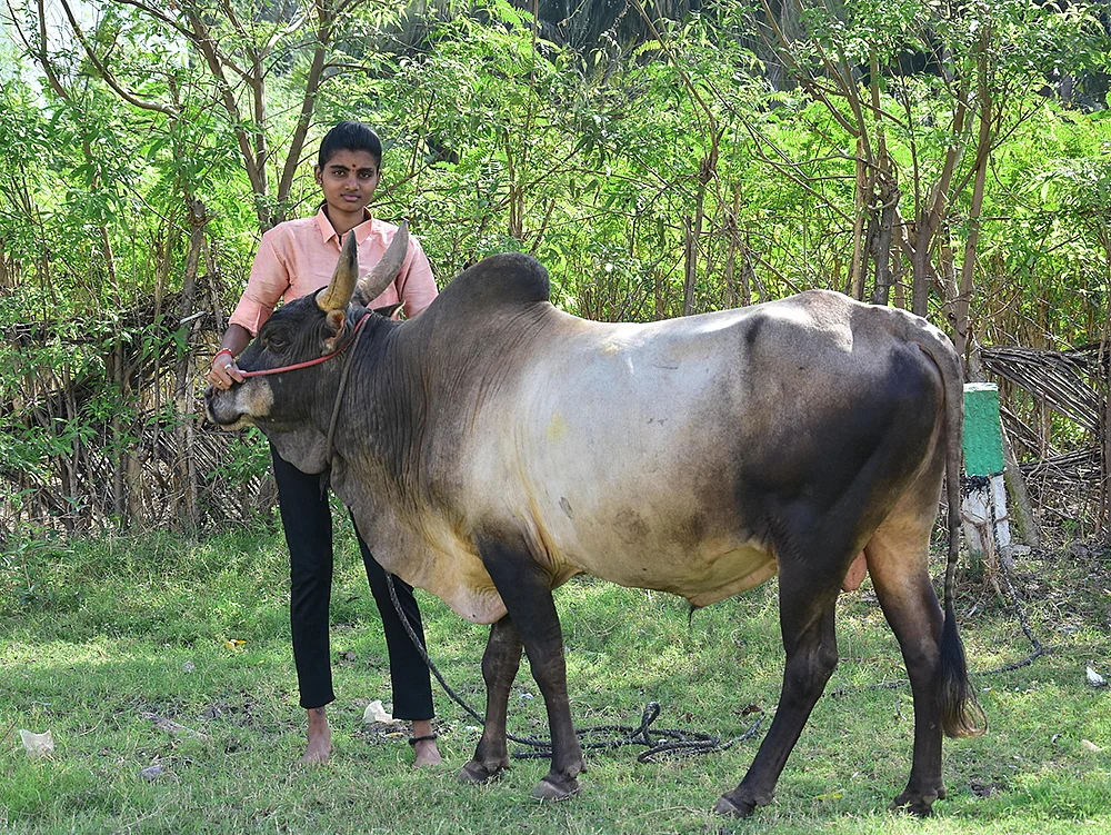 யோகதர்ஷினி