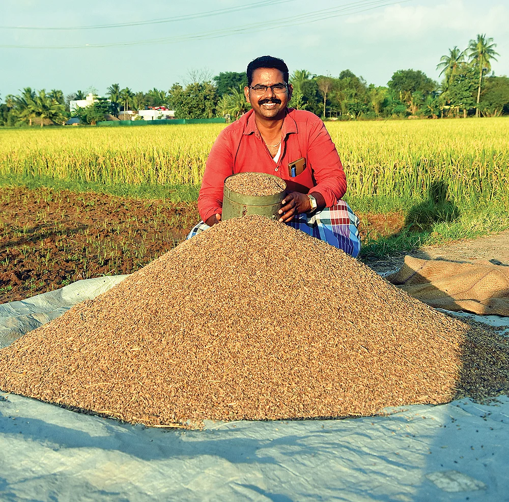 பாரம்பர்ய நெல்லுடன் முருகன்