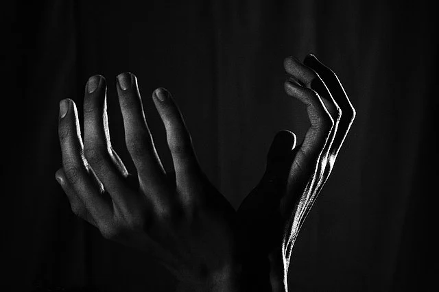 நாடற்றவர்களின் கடவுச்சீட்டு
