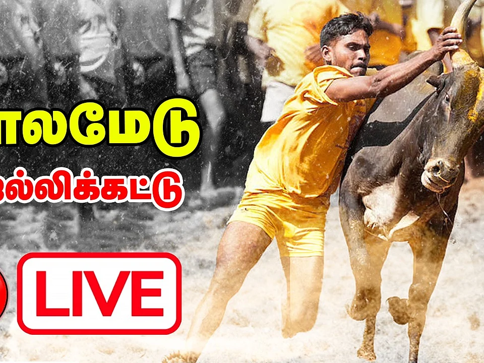 மதுரை பாலமேடு ஜல்லிக்கட்டு நேரலை LIVE
