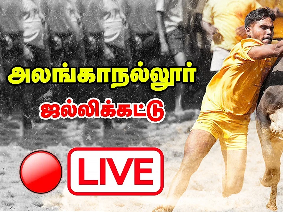 Alanganallur Jallikattu 2022 Live: அலங்காநல்லூர் ஜல்லிக்கட்டு நேரலை