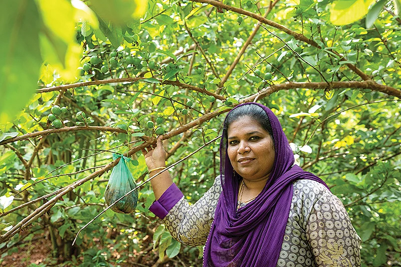 பண்ணையில் நிஷா மைதீன்