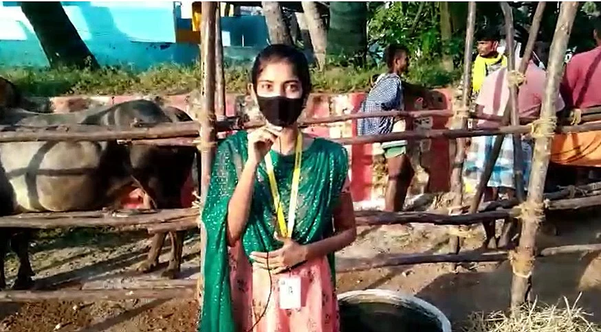 ஜல்லிக்கட்டு: `பாப்பா என்ன பண்ணீட்டு இருக்க?’ -அவனியாபுரம் டு அலங்காநல்லூர் கள அனுபவம் பகிரும் மாணவி