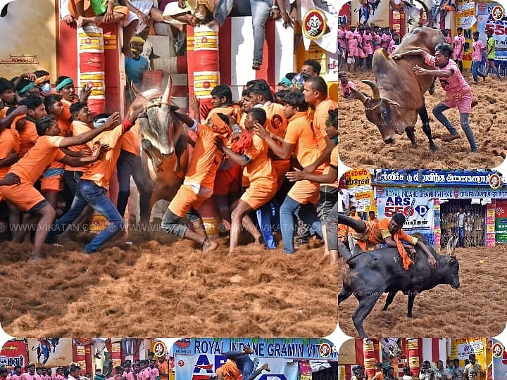 அலங்காநல்லூர் ஜல்லிக்கட்டு திருவிழா - சிறப்புப் புகைப்படங்கள்!