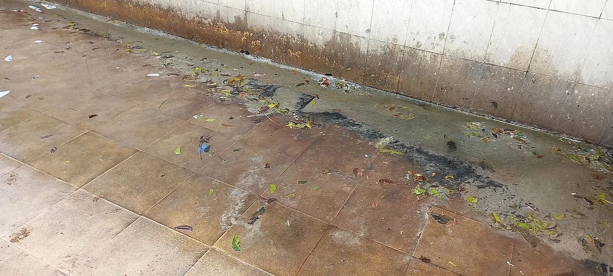 திருவாரூர்: சமூக விரோதிகளின் கூடாரமான `கலைஞர்' பேருந்து நிலையம்... சீரமைக்கப்படுமா?!