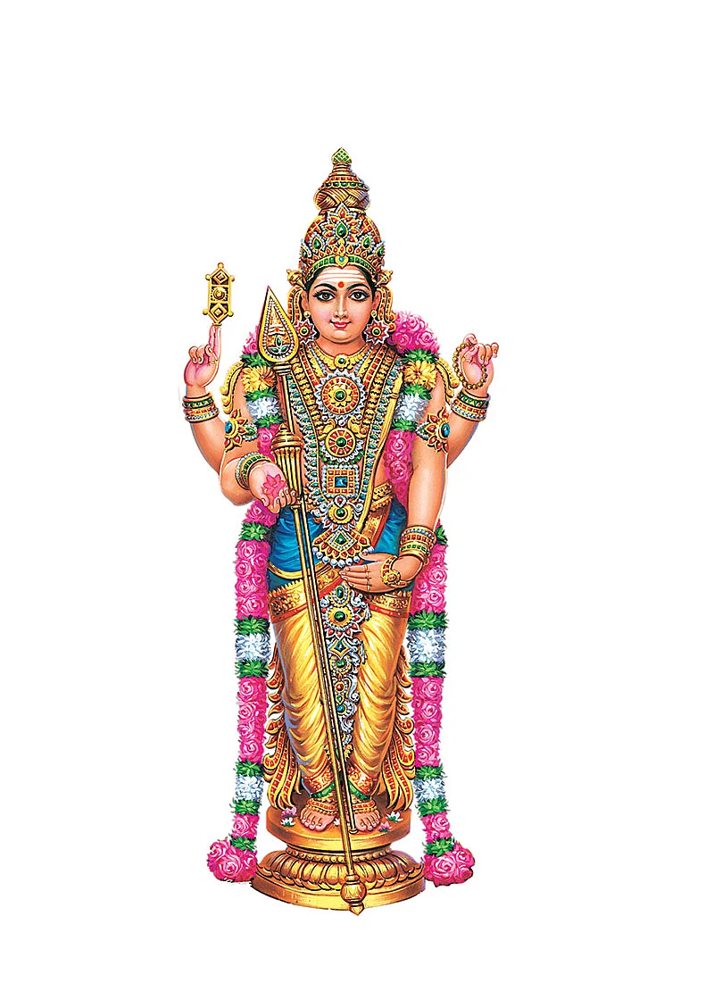 நட்சத்திர ரகசியங்கள்!
