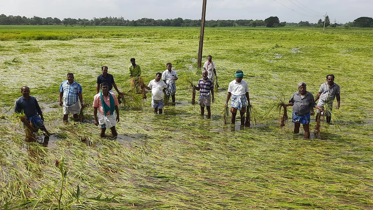 விவசாயிகள் ஆர்ப்பாட்டம்