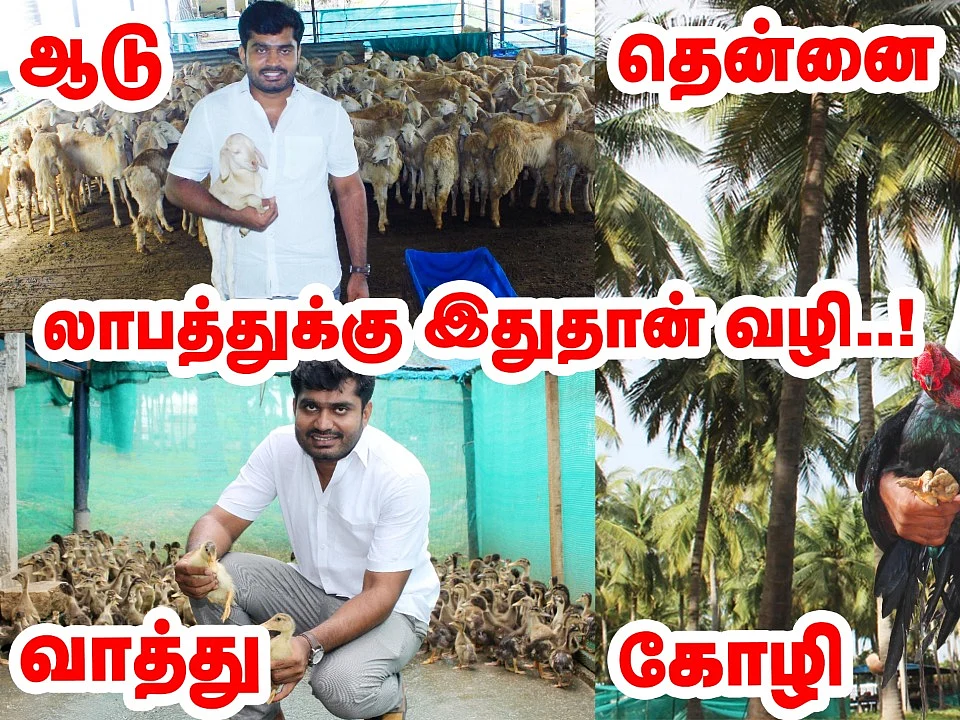 ஒருங்கிணைந்த பண்ணை: இதுதான் உண்மை! | Integrated Farming Facts | Pasumai vikatan