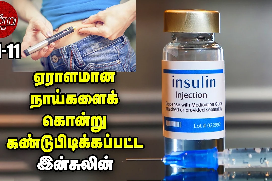 இன்சுலின்