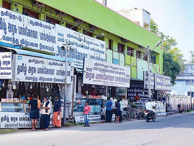 சரியான பதம், மாறாத சுவை...
தித்திக்கும் ஶ்ரீவில்லிபுத்தூர் பால்கோவா!
