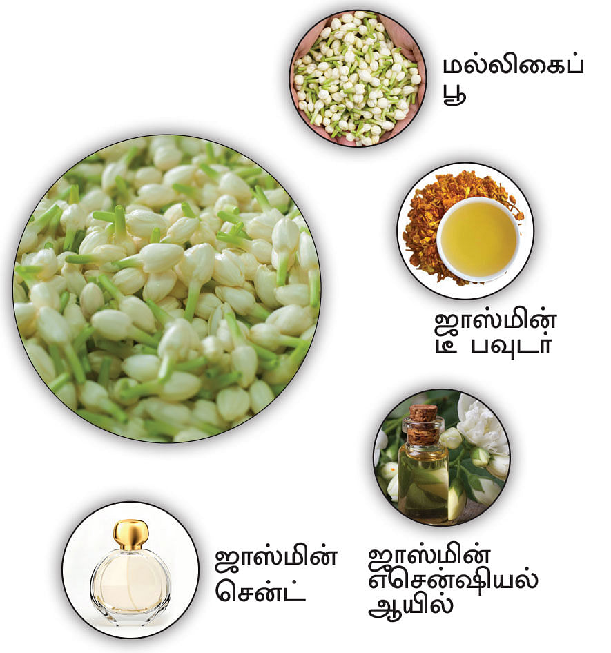 கனவு - 2 - ராமநாதபுரம் - வளமும் வாய்ப்பும்