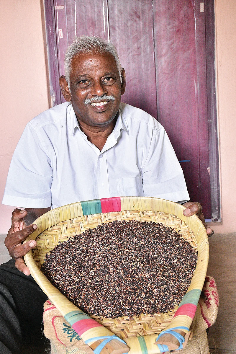 அரிசியுடன்