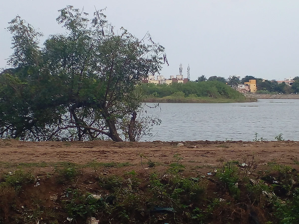 சிட்லபாக்கம் ஏரி